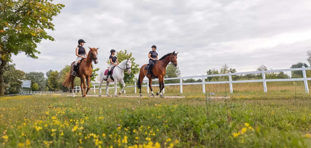 tarifs-equitation-coaching