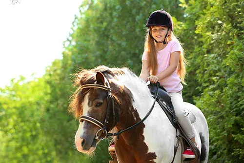cours-equitation