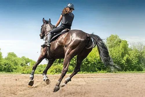 coaching-concours